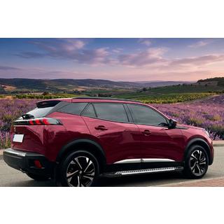 Line-sivuporrassarja (2 kpl, alumiini) Peugeot 3008 2016–2023 kuva 1