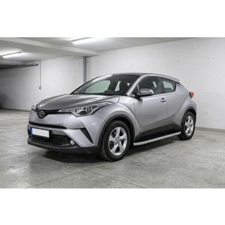 Sivuaskelmat Tayga Grey (2 kpl, alumiini) kuva 1