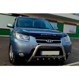 Karjapuskuri WT004 (RST)