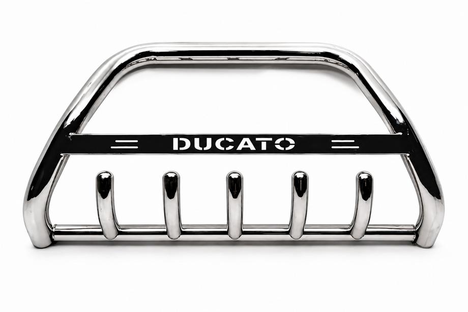 Fiat Ducato 1995–2006 Karjapuskuri WT004 (RST) Image