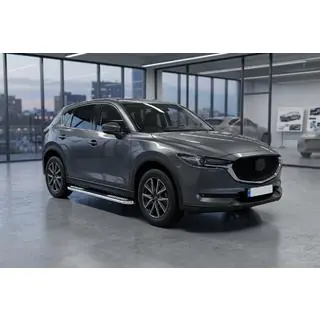 Tayga V2 sivukynnykset (2 kpl, alumiini) kuva 1