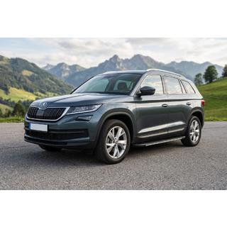 Sivuportaat Bosphore Grey (2 kpl, alumiini) kuva 1
