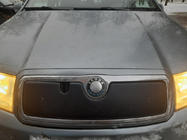 Skoda Fabia 2000–2007 Talvisuoja etusäleikköön kuva 2