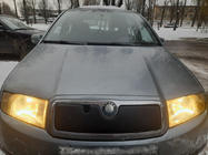 Skoda Fabia 2000–2007 Talvisuoja etusäleikköön kuva 1