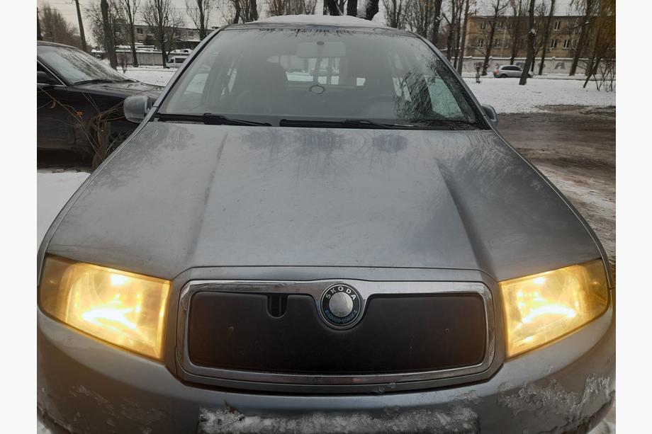 Skoda Fabia 2000–2007 Talvisuoja etusäleikköön Image