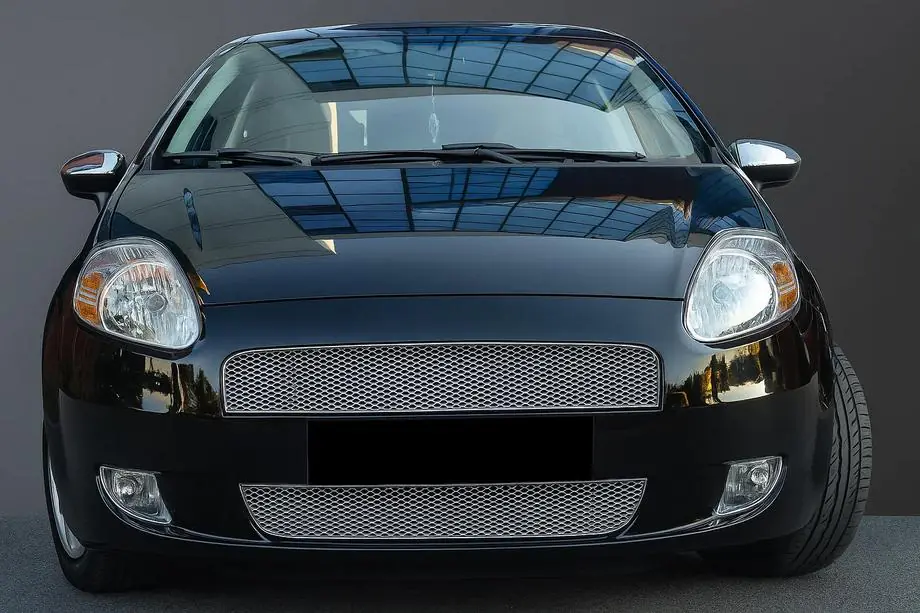 Fiat Punto Grande/EVO 2006–2018 Jäähdyttimensäleikön kromilistat (2-os., RST) Image