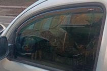 Mercedes Citan 2013–2021 Ura-asenteiset ikkunatuuliohjaimet (2 kpl, HIC) kuva 9