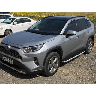 Fullmond sivuportaat (2 kpl, alumiini) kuva 2