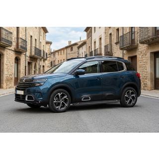 Allmond Black sivuportaat (2 kpl, alumiini) kuva 1