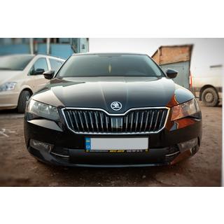 Talvisuoja etusäleikköön (2015-2019, alaosa) Skoda Superb 2015–2024 kuva 1