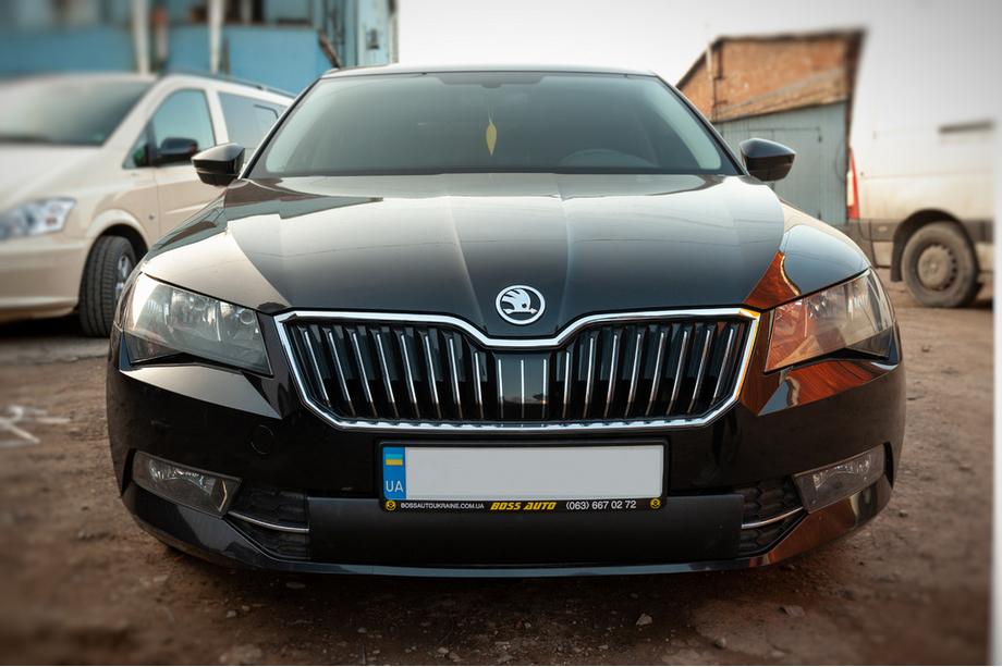 Skoda Superb 2015–2024 Talvisuoja etusäleikköön (2015-2019, alaosa) Image