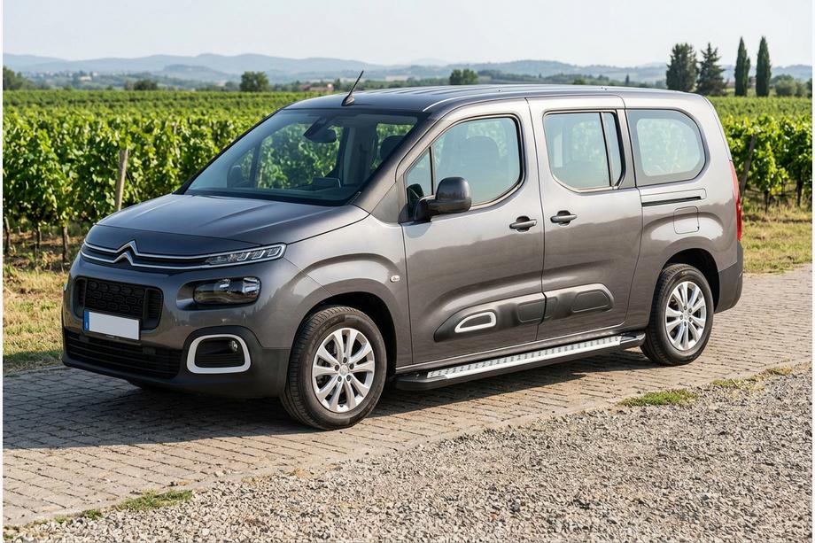 Citroen Berlingo/Multispace 2018– Allmond Grey -sivuporrassarja (2 kpl, alumiini) Image