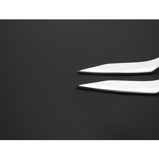 Sumuvalojen kromikehykset (4 kpl, ruostumaton teräs) Renault Clio V 2019– kuva 3