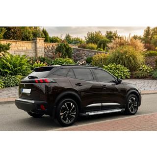 Sivuporrassarja New Vision Grey (2 kpl, alumiini) Peugeot 3008 2016–2023 kuva 1