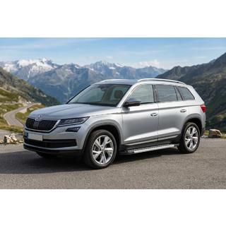 Sivuporrassarja New Vision Grey (2 kpl, alumiini) kuva 1
