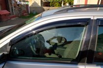 Ford Focus I 1998–2005 SW tuuliohjaimet ikkunoihin (4 kpl, HIC) kuva 1