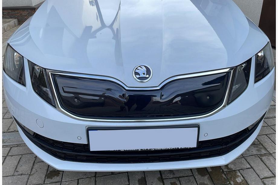 Skoda Octavia III A7 2013–2019 Talvisäleikkö (2017-2020) Kiiltävä Image