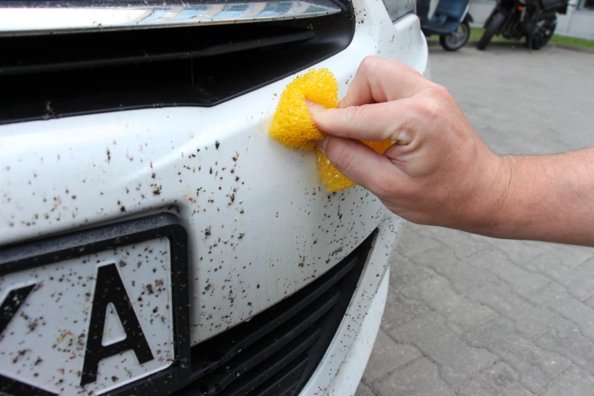Näin poistat pinttyneet hyönteiset autosta