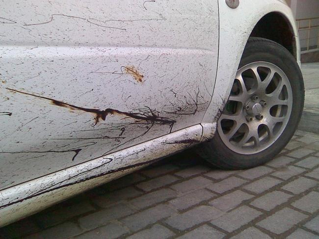 Näin poistat bitumin autosta