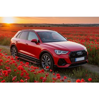 Sivuporrassarja Maya Red (2 kpl, alumiini) kuva 1