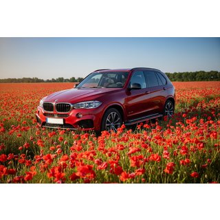 Sivuporrassarja Maya Red (2 kpl, alumiini) BMW X5 F15 2013–2018 kuva 1