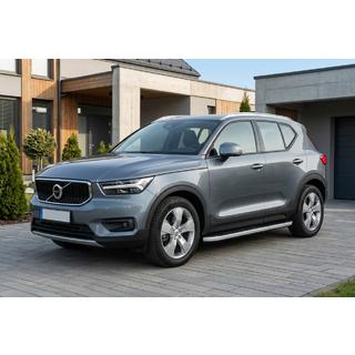 Sivuportaat Tayga Grey (2 kpl, alumiini) kuva 1